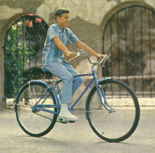 File:Boy on a Schwinn Speedster bike. 1970 Schwinn Consumer Catalog.png