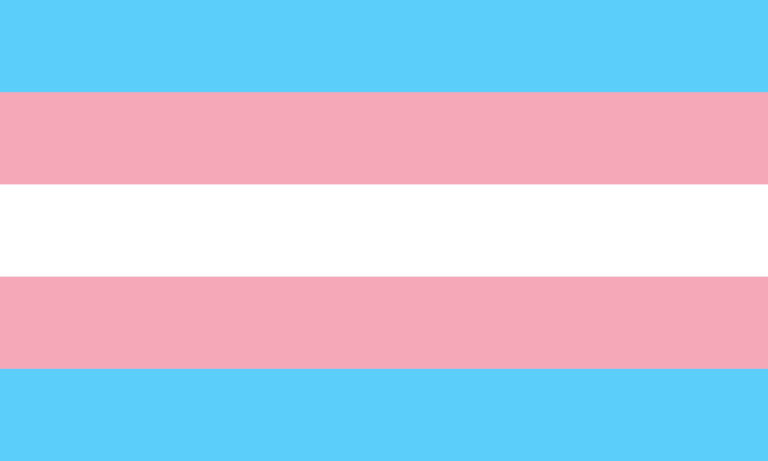 File:Transgender Pride flag.png