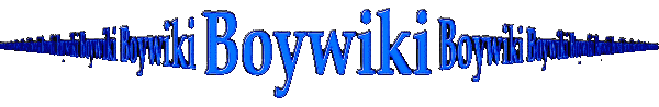 Welcome to BoyWiki
