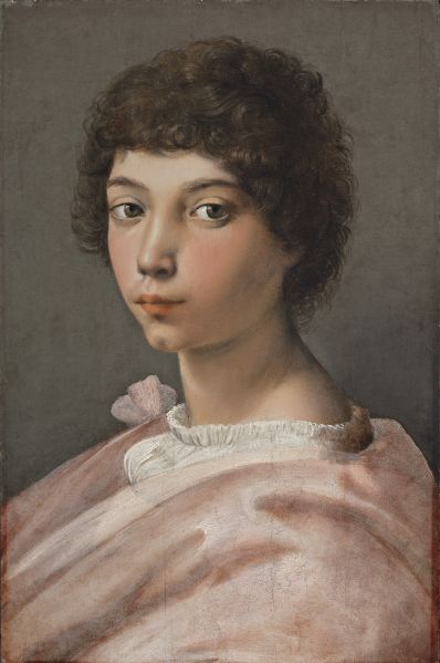 File:Raphael Portrait of a Young Man.jpg