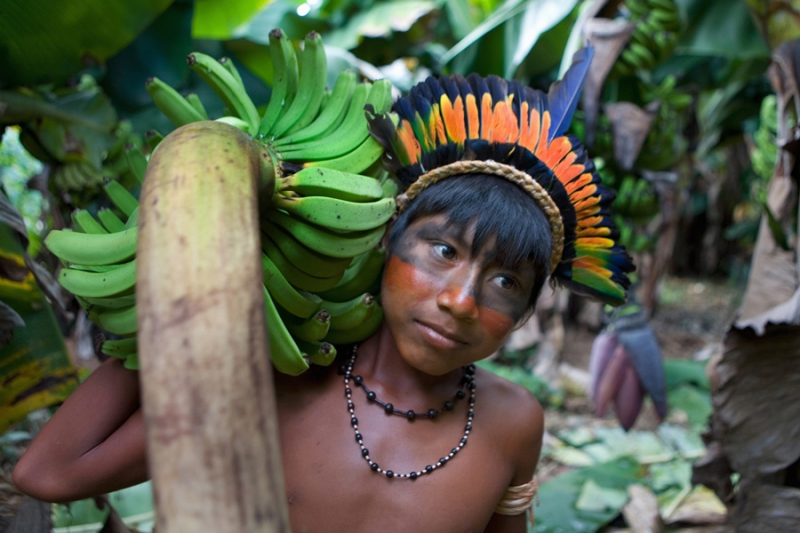 File:Young Xingu boy of the Amazon rainforest with an armlet, beaded necklaces, face paint and a feathered headdress, holding a bunch of bananas.png